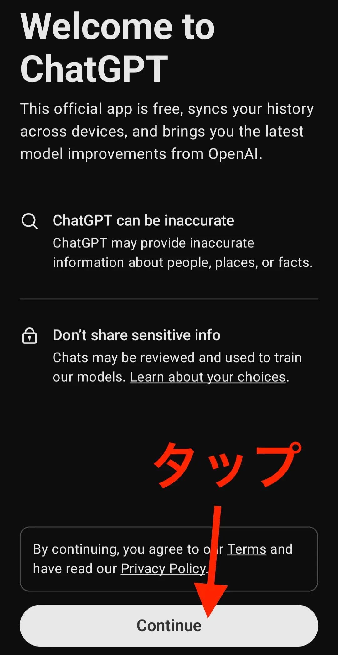 チャットGPTインストール後①.png